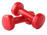 Categoría Deportes y Fitness